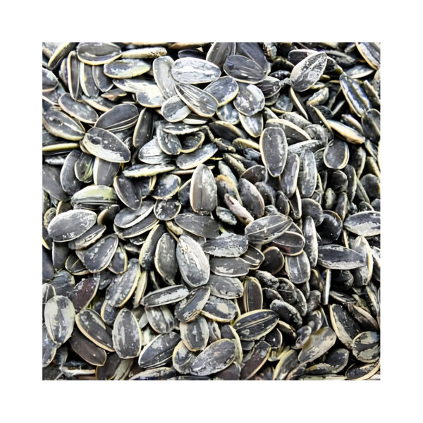 graines de tournesol grillées salées